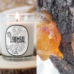 Bougie Lumière d'Ambre