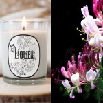 Bougie Parfumée Divin Chèvrefeuille