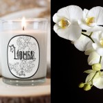 Bougie Fleur de Peau