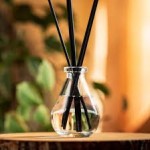 Parfum Cuir Noir