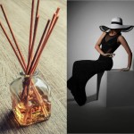 Parfum pour Diffuseur Notes Noires