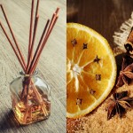 Parfum pour Diffuseur Orange et Épices